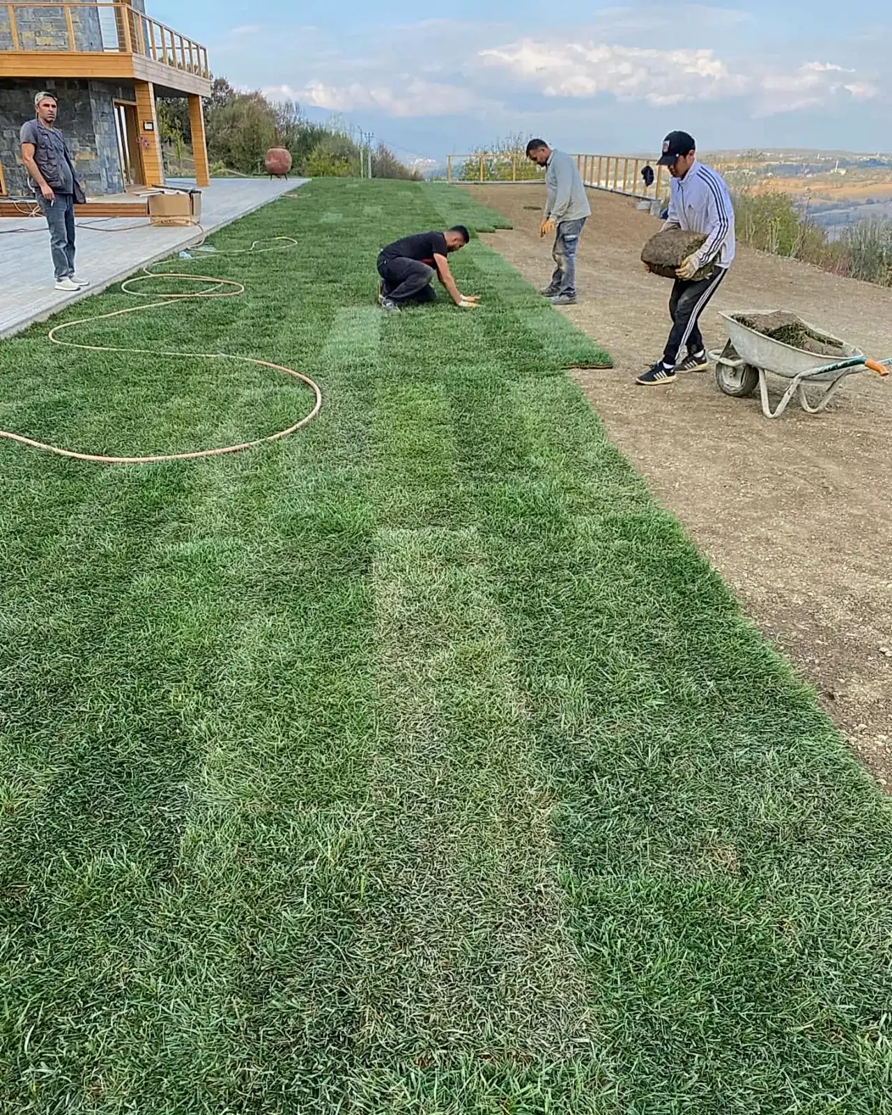 Hazır rulo çim serimi uygulaması ve peyzaj düzenlemesi - Erdem Peyzaj