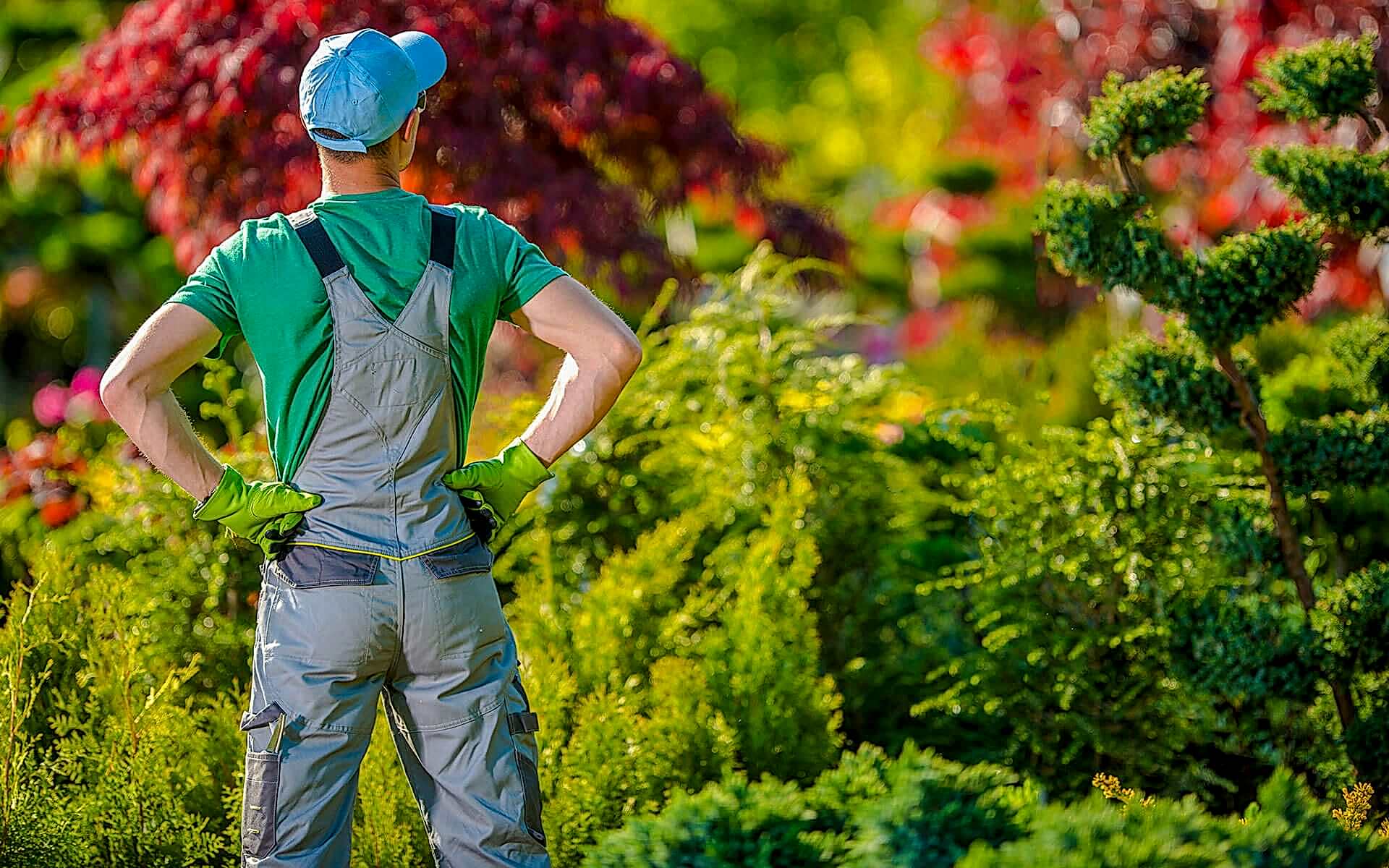 Erdem Peyzaj Profesyonel Ekibi