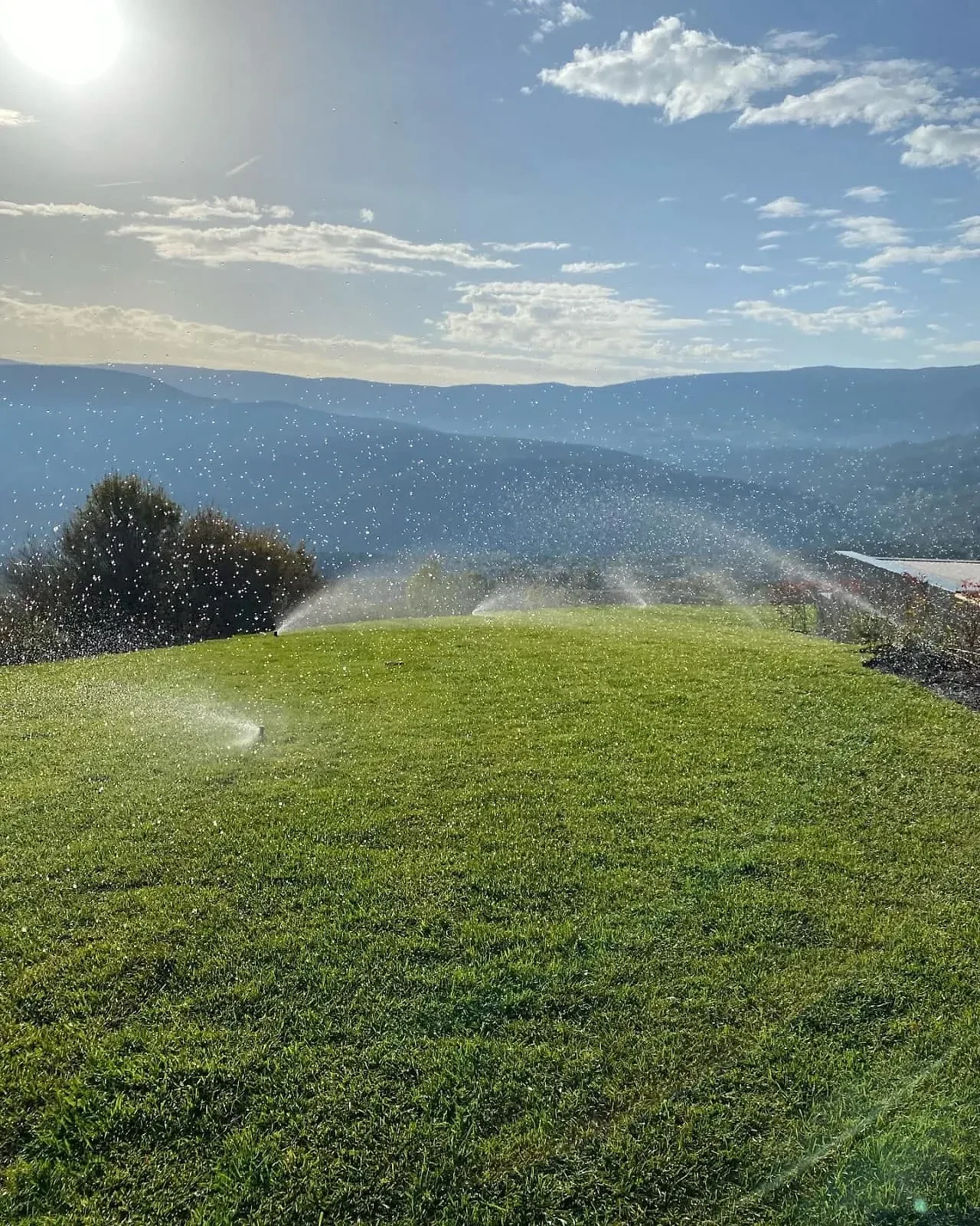 Su tasarrufu sağlayan akıllı otomatik sulama sistemleri - Erdem Peyzaj