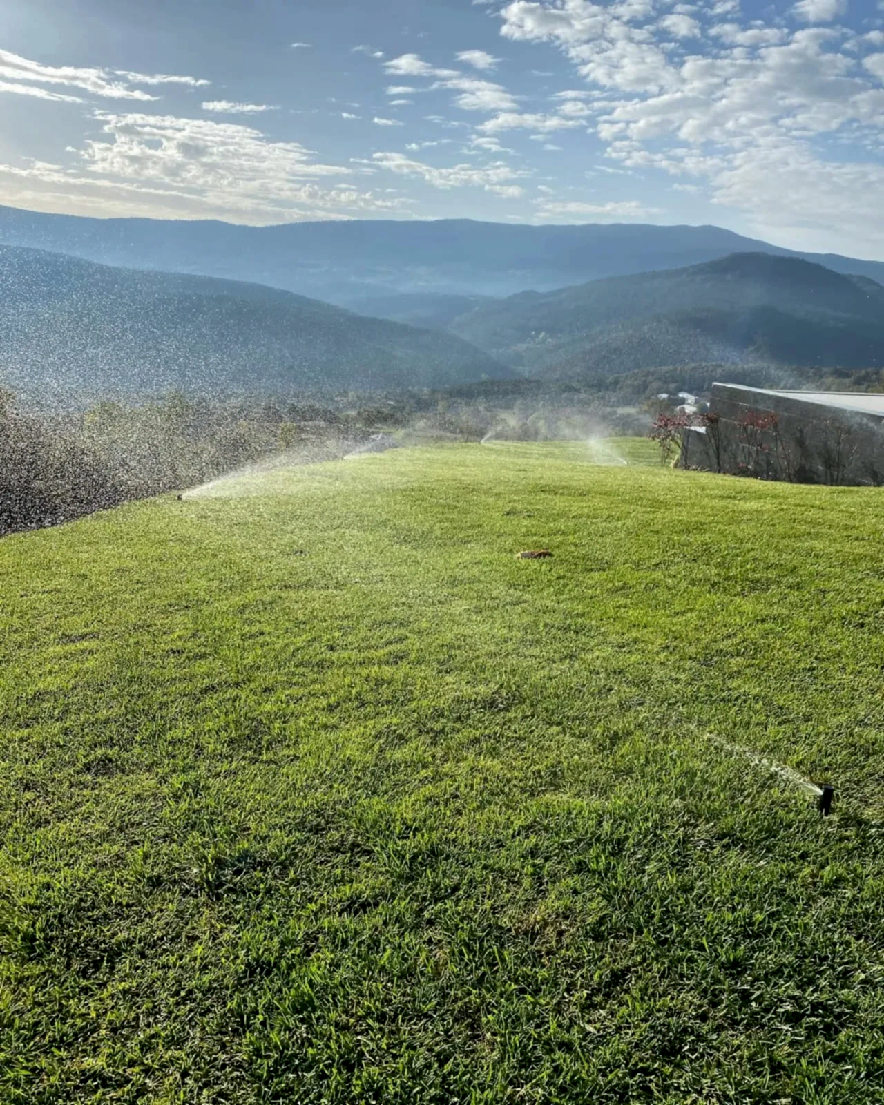 Çim ve peyzaj alanları için homojen su dağıtımı sağlayan sprink sulama çözümleri - Erdem Peyzaj