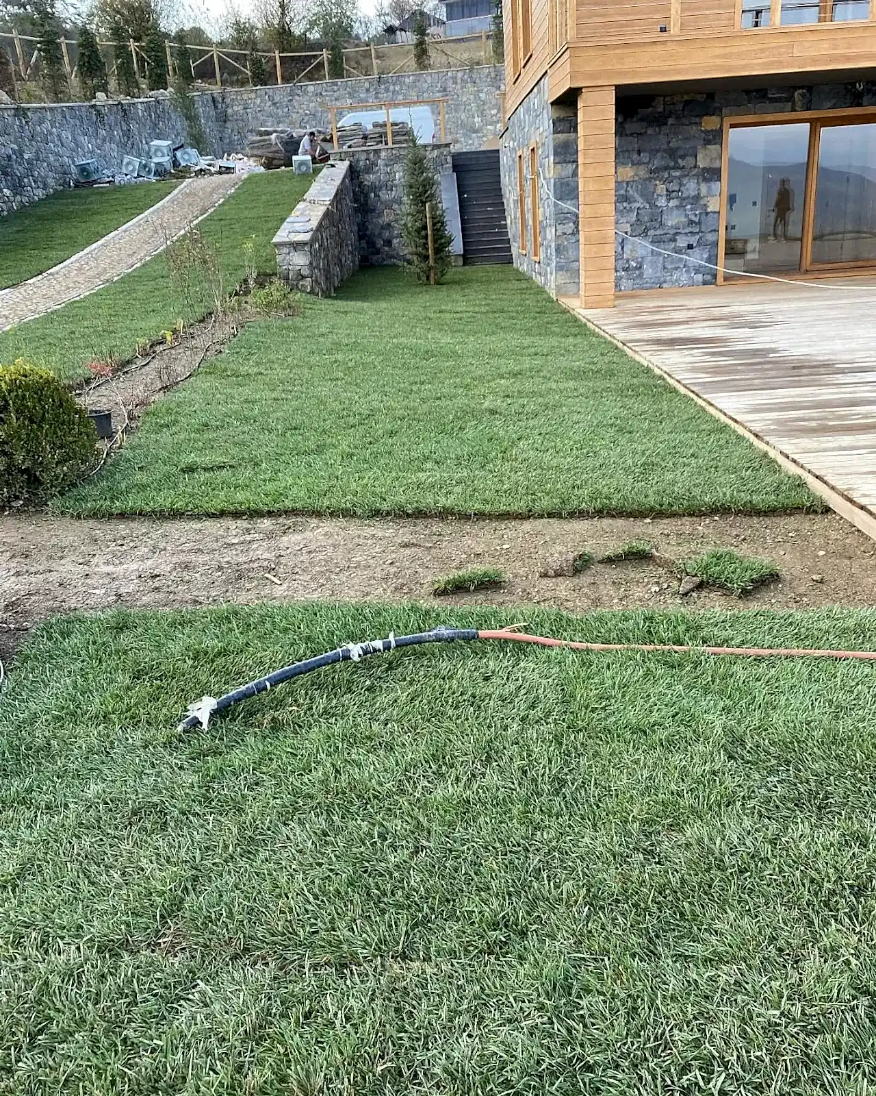 Rulo çim uygulaması sonrası yemyeşil bahçe peyzajı - Erdem Peyzaj