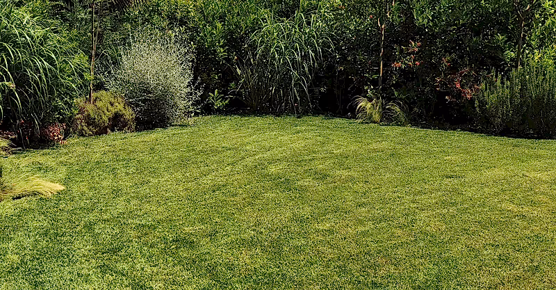 Hazır Rulo Çim ile Yemyeşil Bahçeler