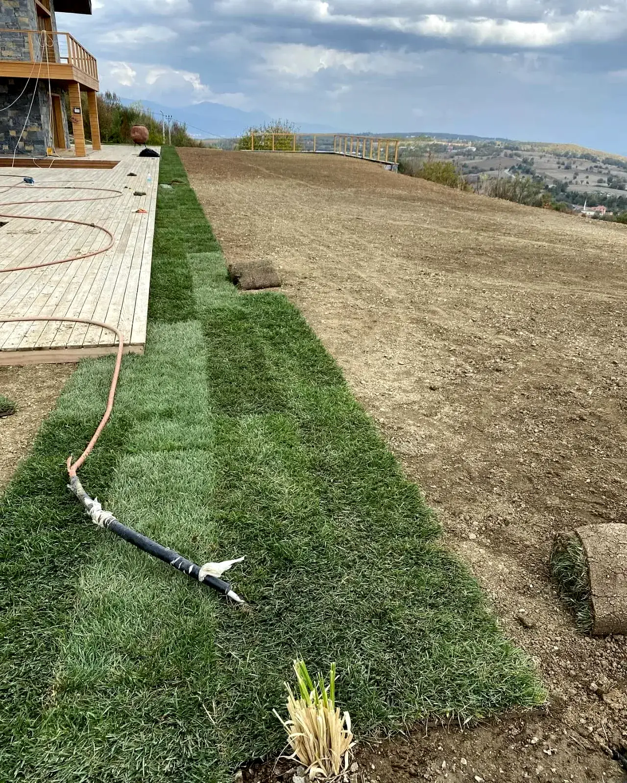 Peyzaj projeleri için kaliteli rulo çim - Erdem Peyzaj