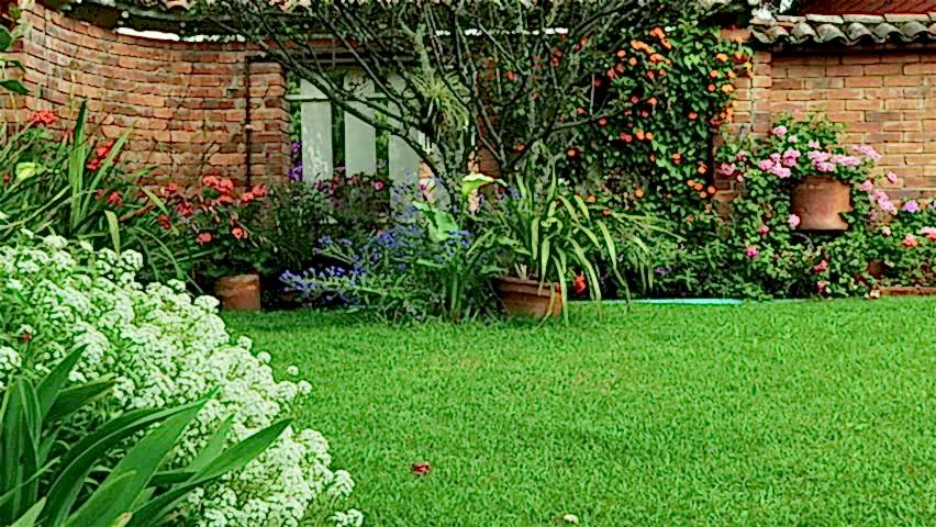 Bahçe Detay Bitkilendirme ve Süs Bitkisi Düzenlemesi - Erdem Peyzaj İstanbul